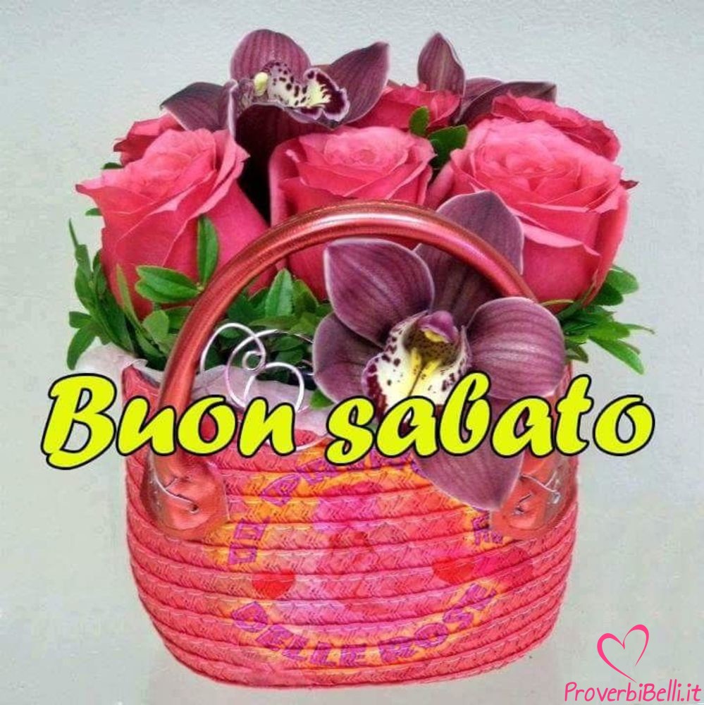 Belle-Immagini-Buongiorno-Sabato-Facebook-Whatsapp-262