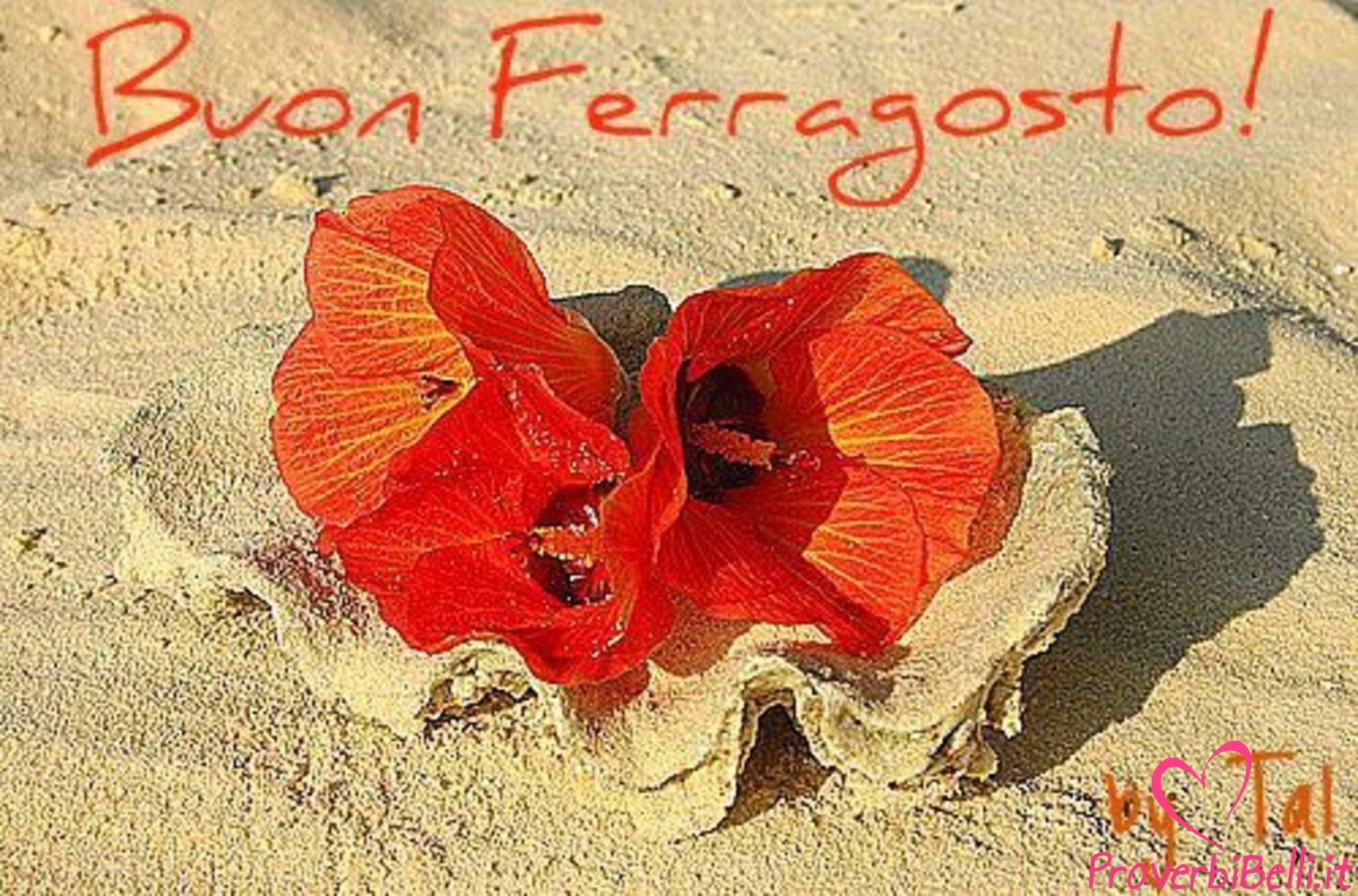 Buon-Ferragosto-Immagini-Whatsapp-44